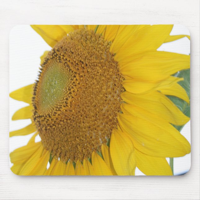 Tapis De Souris mousepad lunatique de photo de tournesol (Devant)