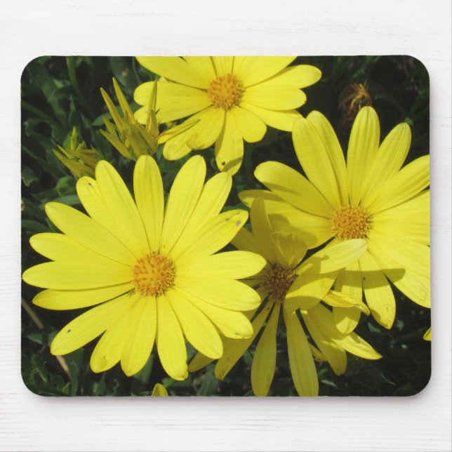 Tapis De Souris Mousepad - Marguerites jaunes (Devant)