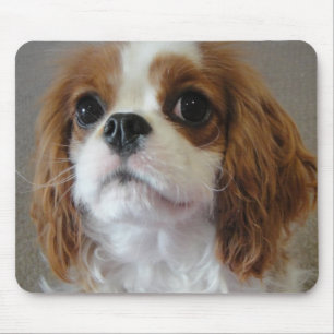 Tapis De Souris Mousepad mignon cavalier de chiot du Roi Charles