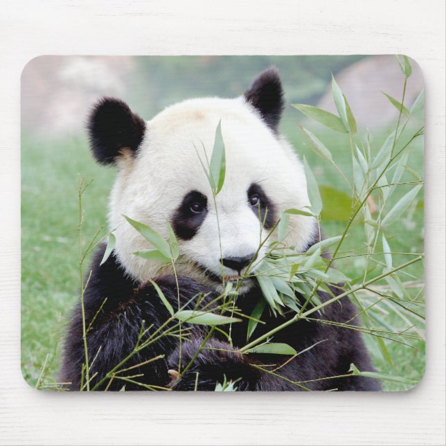 Tapis De Souris Mousepad. Panda géant. Panda. (Devant)
