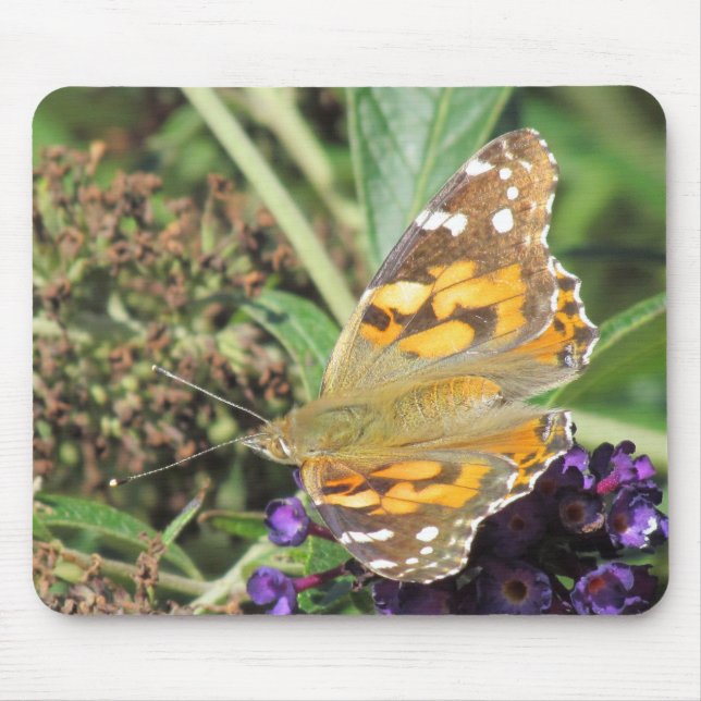 Tapis De Souris Mousepad - Papillon orange sur Fleur violette (Devant)