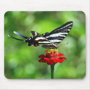 Tapis De Souris Mousepad, papillon Zebra Swallowtail