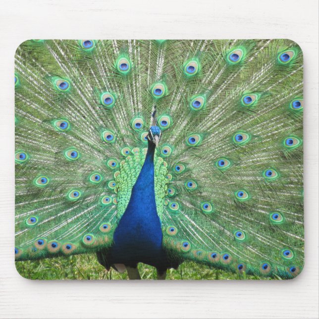 Tapis De Souris Mousepad - Peacock (Devant)