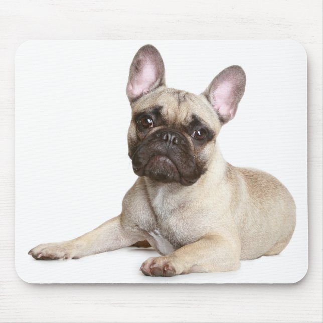 Tapis De Souris Mousepad, petit chien coquelicot français (Devant)