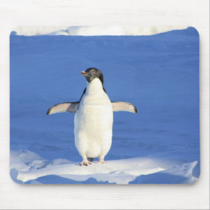 Tapis De Souris Mousepad - Pingouin