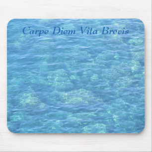 Tapis De Souris Mousepad--Piscine de marée