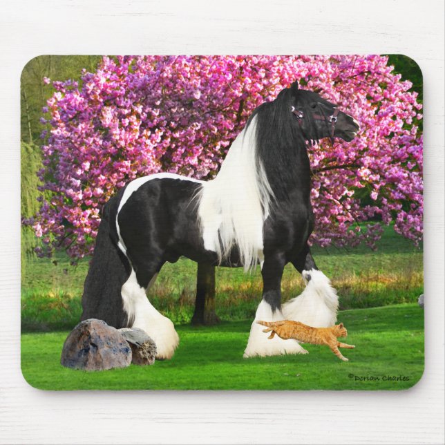 Tapis De Souris Mousepad "Rollo & Cat" (Devant)