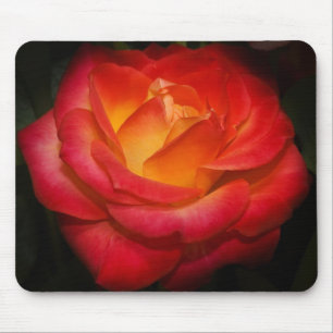 Tapis De Souris Mousepad rose de flamber