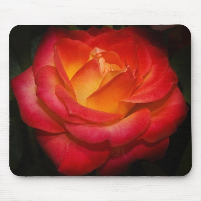 Tapis De Souris Mousepad rose de flamber (Devant)