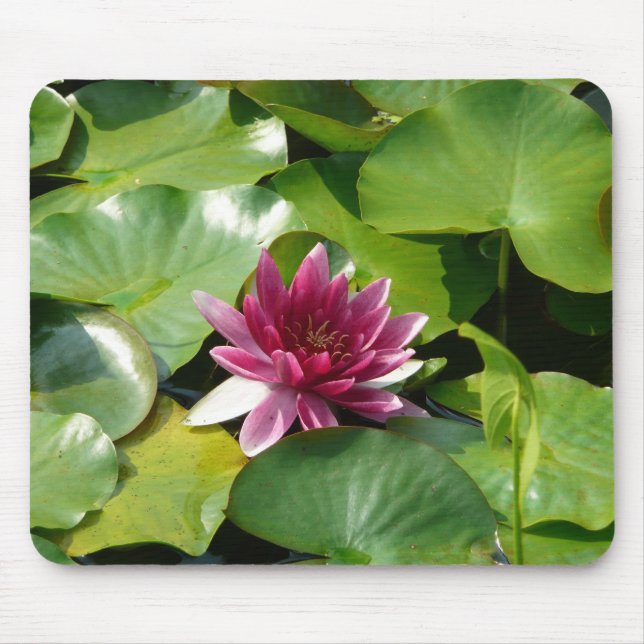 Tapis De Souris Mousepad rose de nénuphar (Devant)