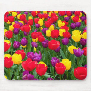 Tapis De Souris Mousepad rouge, pourpre, jaune de tulipe