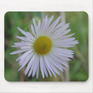 Tapis De Souris Mousepad weisse Wildblüte