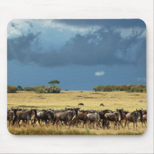 Tapis De Souris Mousepads bleus de Mara de masai de migration de