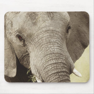 Tapis De Souris Mousepads de safari de faune d'éléphant africain