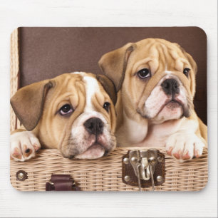 Tapis De Souris Mousepties de Bulldog