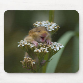 Tapis De Souris Mousie de sourire sur la fleur