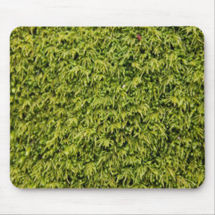 Tapis De Souris Mousse verte