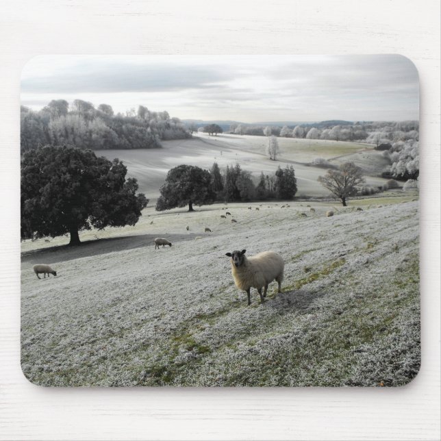Tapis De Souris Moutons dans une vallée gelée (Devant)