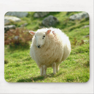 Tapis De Souris Moutons Mousepad de l'Irlande