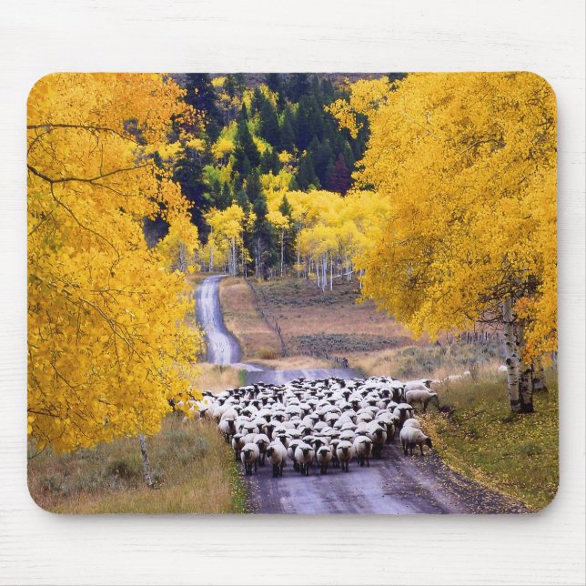 Tapis De Souris Moutons sur la route de campagne (Devant)