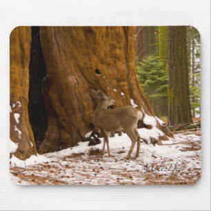 Tapis De Souris Mule Deer