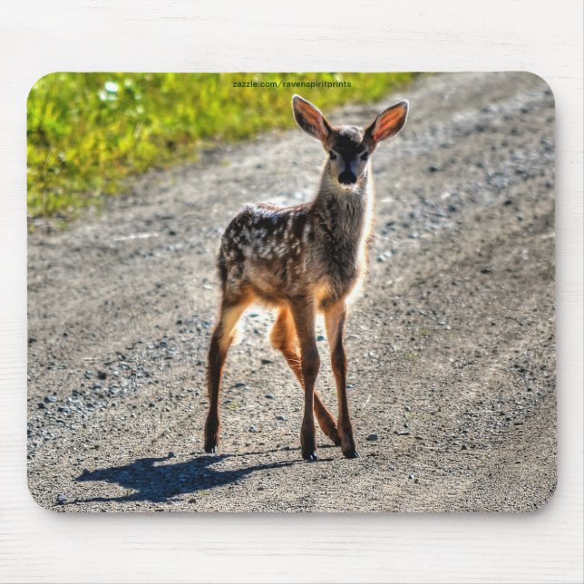 Tapis De Souris Mule Deer Fawn Baby Animal Wildlife Photo (Devant)