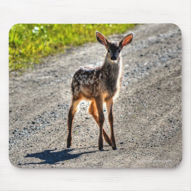 Tapis De Souris Mule Deer Fawn Baby Animal Wildlife Photo (Devant)