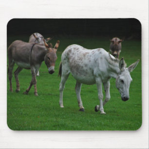 Tapis De Souris Mules et ânes Mousepad