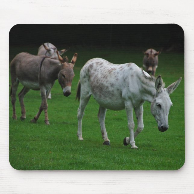 Tapis De Souris Mules et ânes Mousepad (Devant)