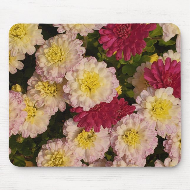 Tapis De Souris Mums mousepad (Devant)