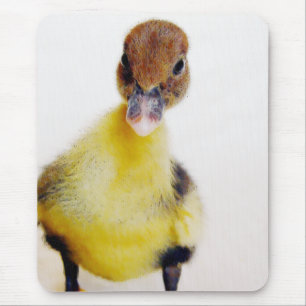 Tapis De Souris Muscovy Duckling