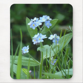 Tapis De Souris Myosotis