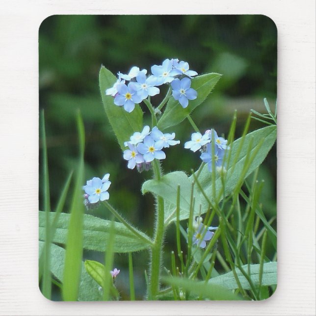 Tapis De Souris Myosotis (Devant)