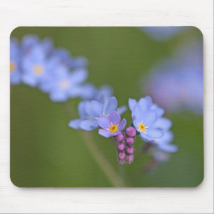 Tapis De Souris Myosotis des marais