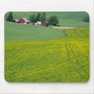 Tapis De Souris N.A., États-Unis, Idaho, comté de Latah, près d