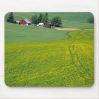 N.A., États-Unis, Idaho, Comté de Latah, près de G