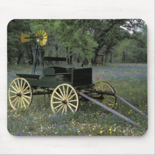 Tapis De Souris N.A., États-Unis, Texas, Devine, Vieux chariot et