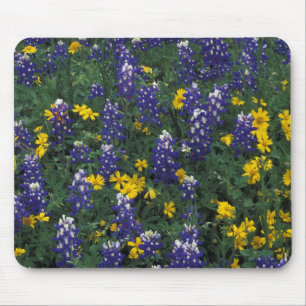 Tapis De Souris N.A, États-Unis, Texas, Marble Falls, Bleus Bonnet