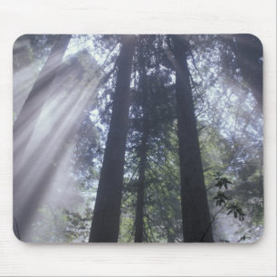 Tapis De Souris NA, États-Unis, Californie. Del Norte Coast State