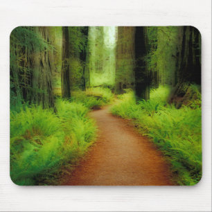 Tapis De Souris NA, États-Unis, Californie, Jedediah Smith Redwood