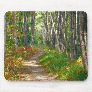 Tapis De Souris NA, États-Unis, Maine.  Sentier Jessup à Acadia Na