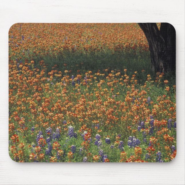 Tapis De Souris NA, États-Unis, Texas, Hill Country, pinceau et (Devant)