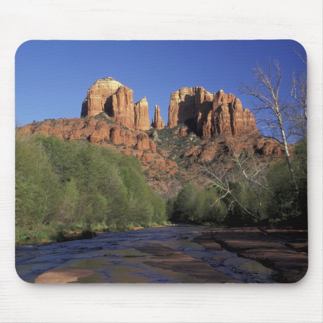 Tapis De Souris NA, USA, Arizona, Sedona. Rocher et chêne de la ca (Devant)