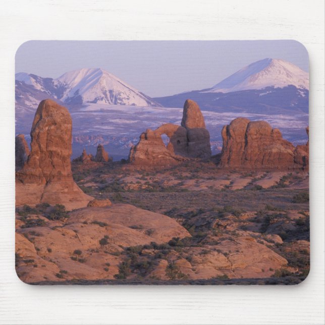 Tapis De Souris NA, USA, Utah, Arches National Park. Jardin du (Devant)