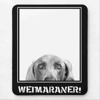 Tapis De Souris Nation de Weimaraner : Weimaraner dans une boîte !