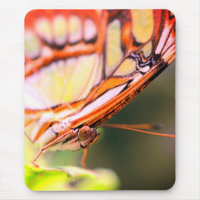 Tapis De Souris Nature du visage papillon (Devant)
