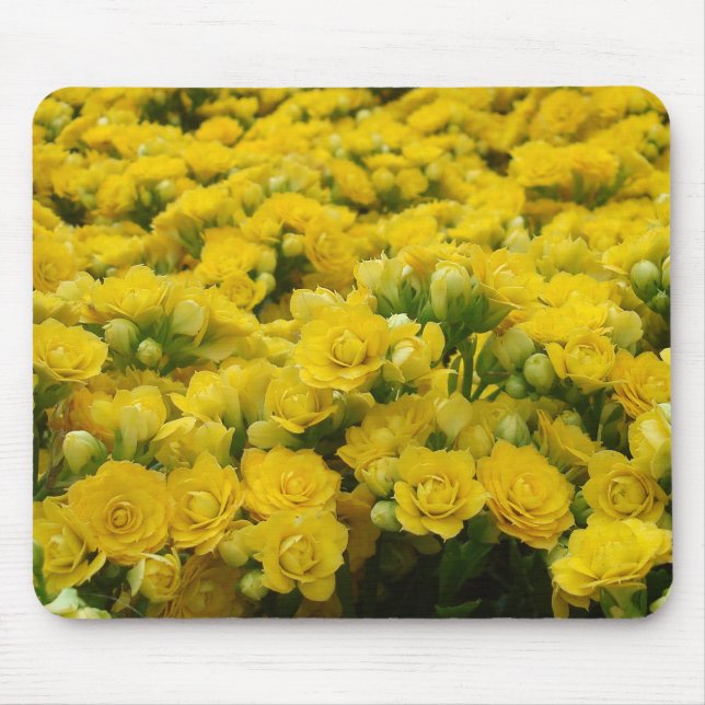 Tapis De Souris Nature Vivid Fleur Jaune Fleur Fleurie Photo Flora (Devant)