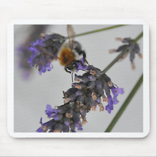 Tapis De Souris Natures de merveilleux travailleurs