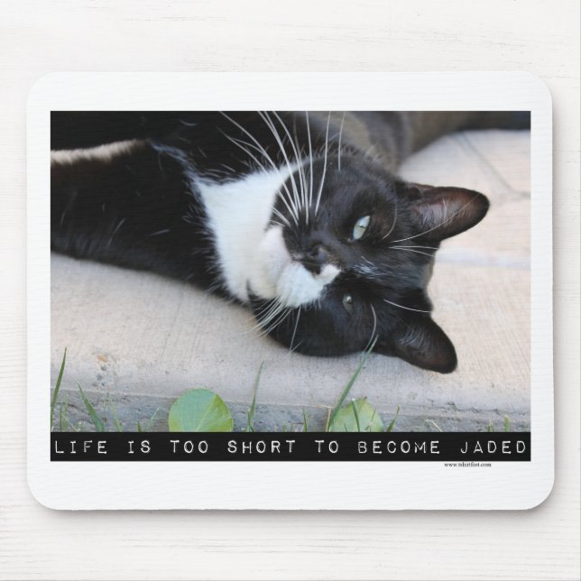 Tapis De Souris Ne Pas Être Jaded Drôle Citation Motivation Chat (Devant)