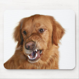 Tapis De Souris Ne touchez pas à mon ordinateur !